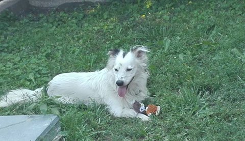 14212198_666588180161405_6140977101917437307_n