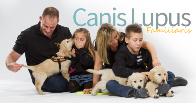 f-_work_bannerek_canis-lupus-familiaris
