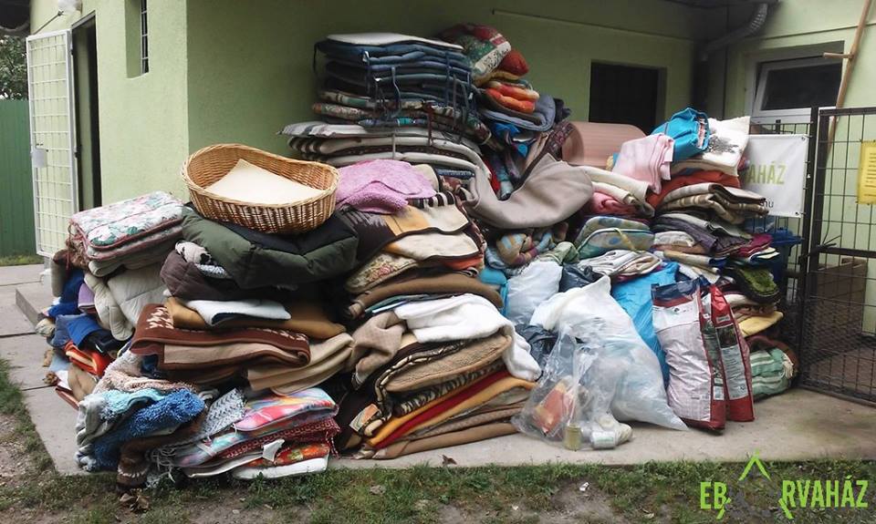 14469560_683562405130649_5720346323656975488_n