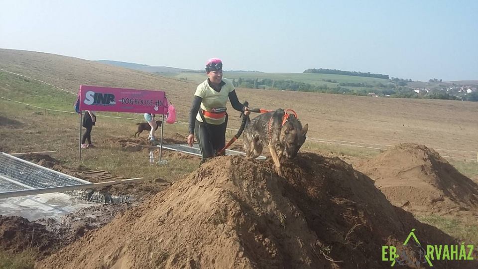 14570505_683492561804300_1396354004201161358_n