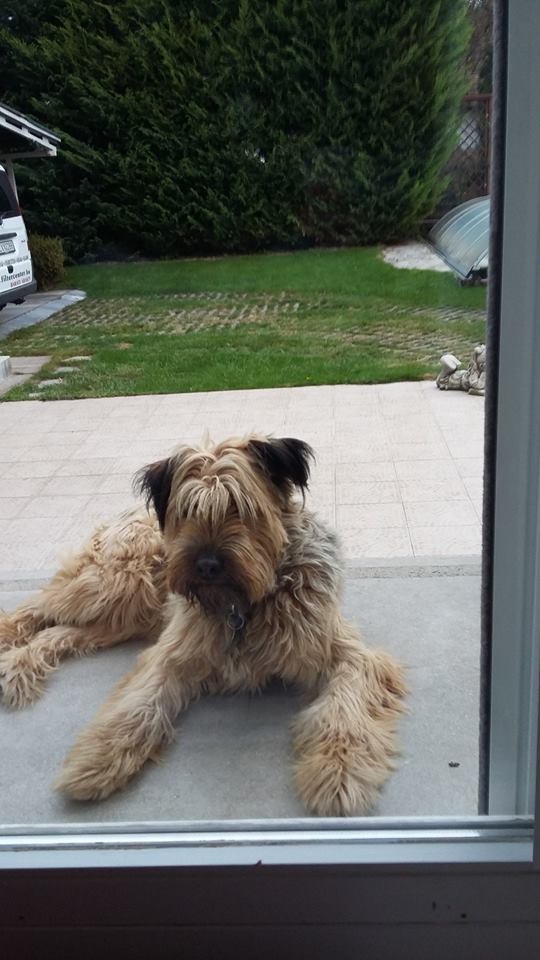 14721734_691498504337039_4313118557925011740_n