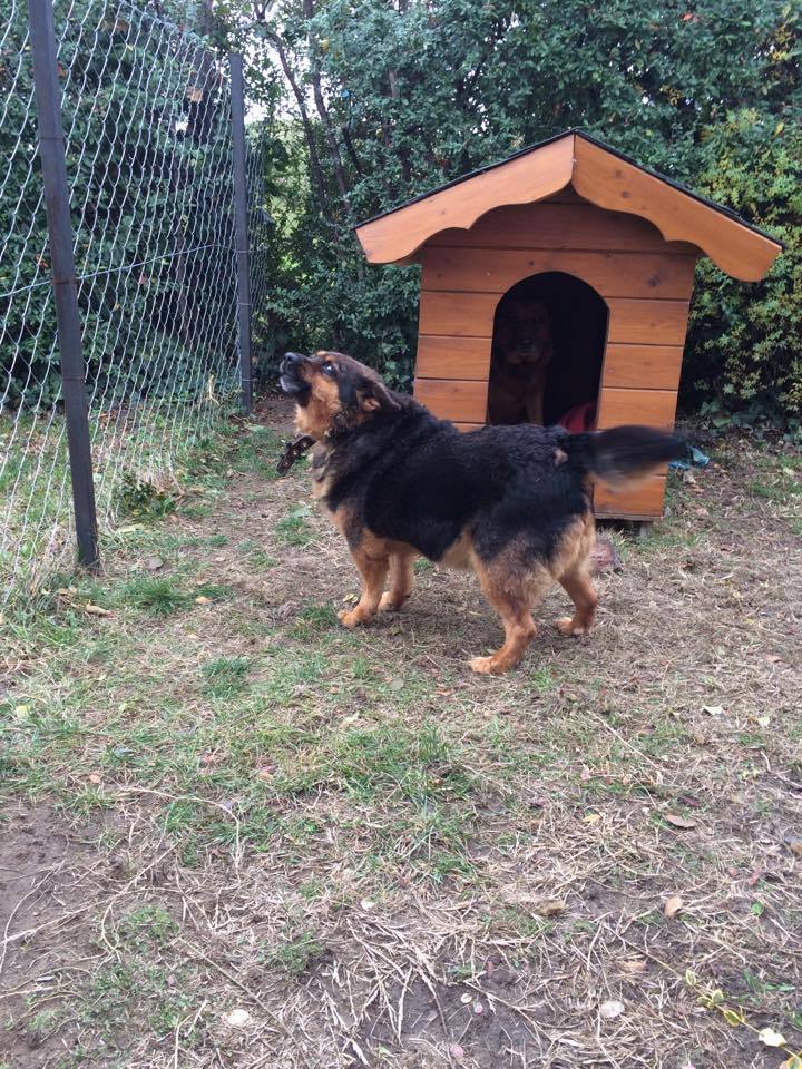 15036335_707785846041638_6392442372304298310_n