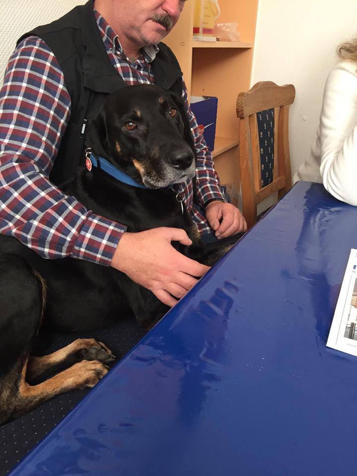 15219565_715074875312735_5659160361921125106_n