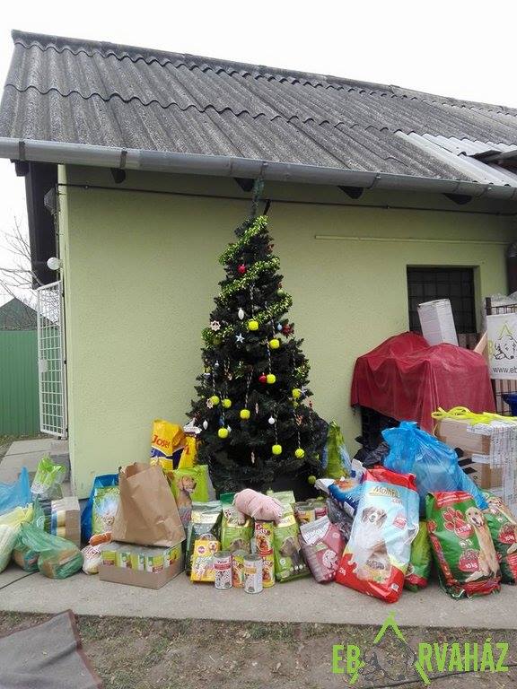 15492605_727428870744002_8380513047041057559_n