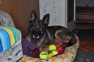 15665713_10154406028719023_2190482474823816614_n