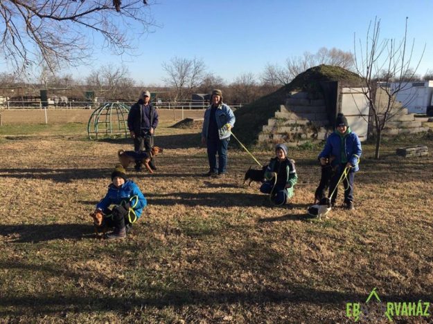 15741214_732614923558730_3956756893329766740_n