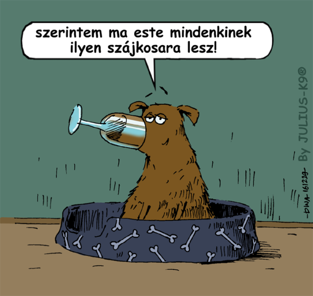 15780840_1108422125923529_2822707683822762996_n