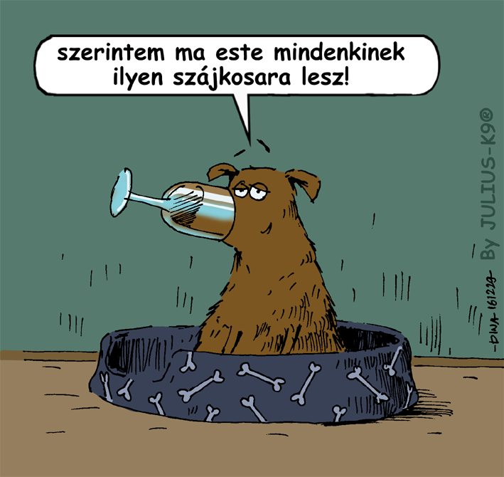 15780840_1108422125923529_2822707683822762996_n