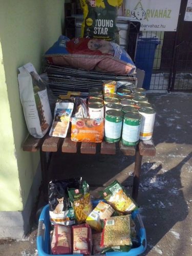 16111306_10154903171589347_529994419_n