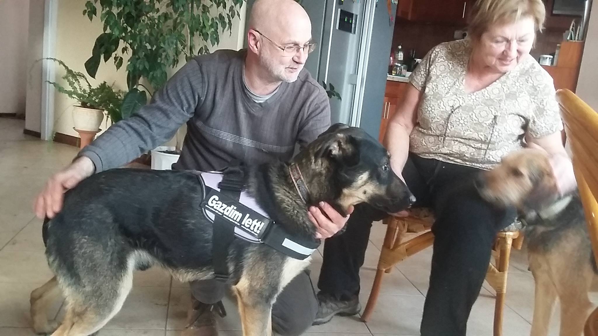 16129186_1331141710271808_2013366219_o