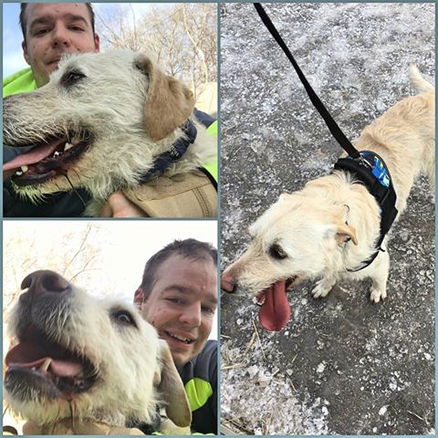 16142299_1430097900336092_7469999812649714116_n