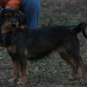 IMG_8160 IMG_8160