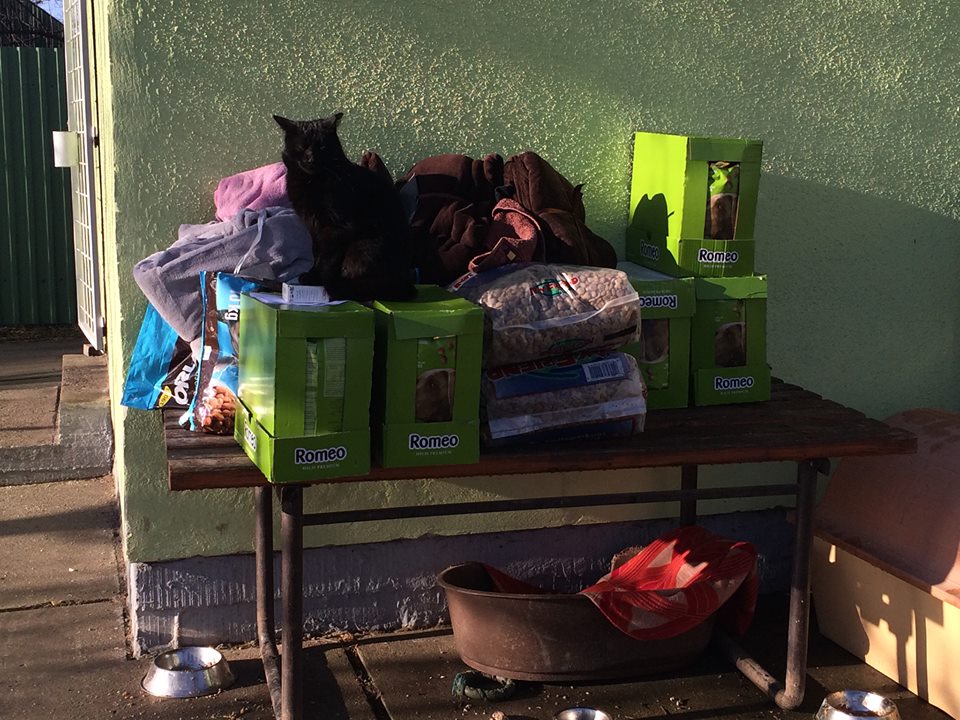 16427753_1078640855594778_6959187220961409919_n