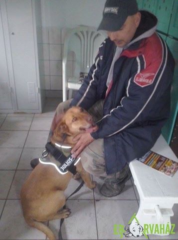 16730103_759381110882111_9183585330450493719_n