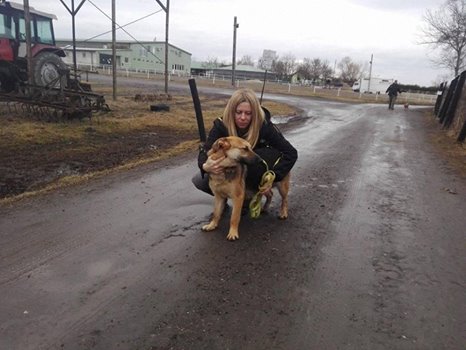 16864253_763240340496188_7003529515952651689_n