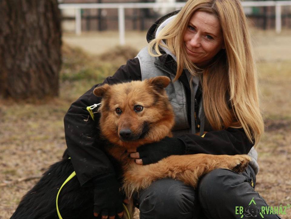 16998069_764964493657106_5272904872343023621_n