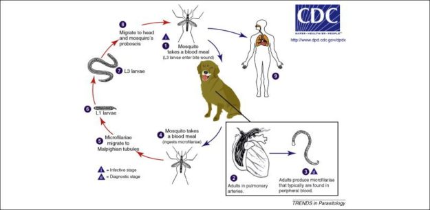 917427079557969de7f8ce