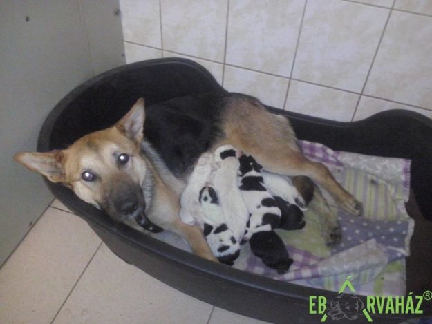 17190584_769699639850258_3046899193419133563_n