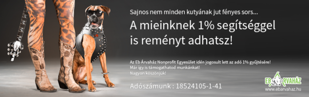 17190714_774373306049558_3398050285407469863_n