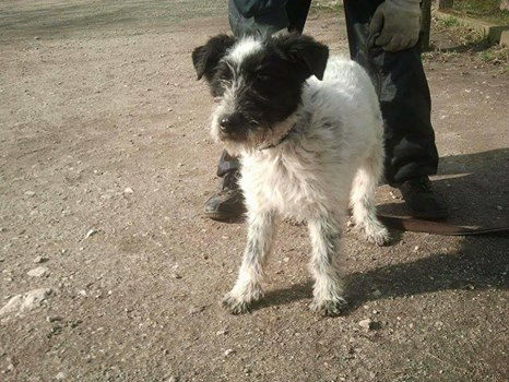 17201279_773110929509129_5594297944695816334_n