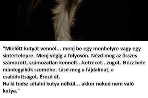 17270292_1494328487330065_904298735_n