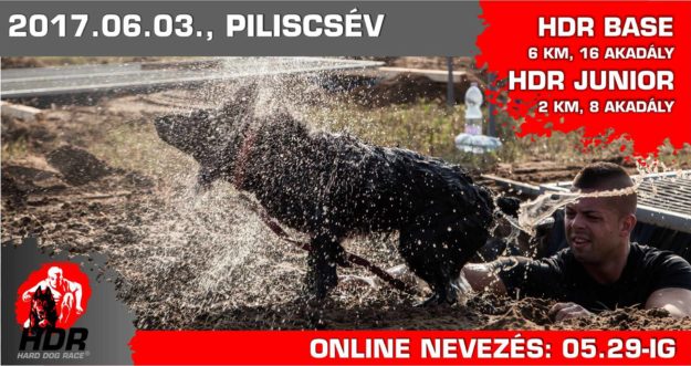 17310298_1337659306277541_8531909047318662173_o