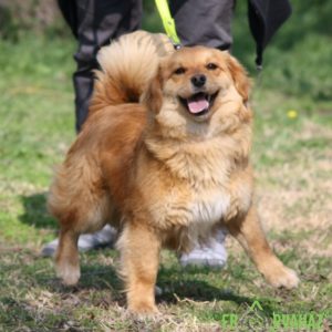 LilienII04 LilienII04