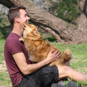 LilienII05 LilienII05