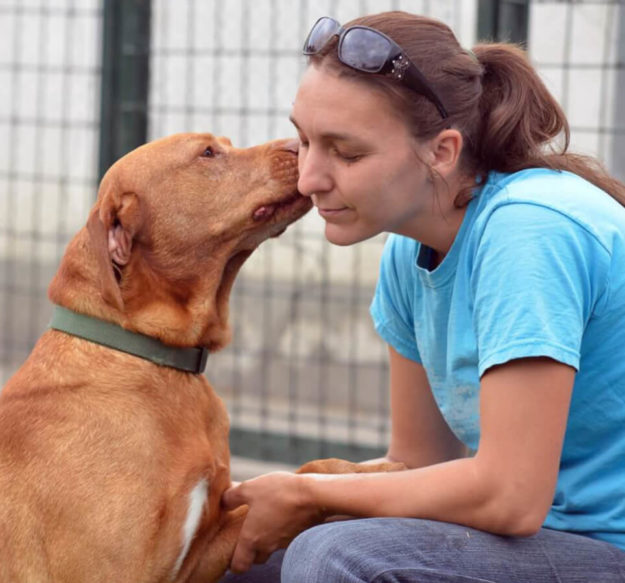 Schulczné Nagy Zsófia – gondozó