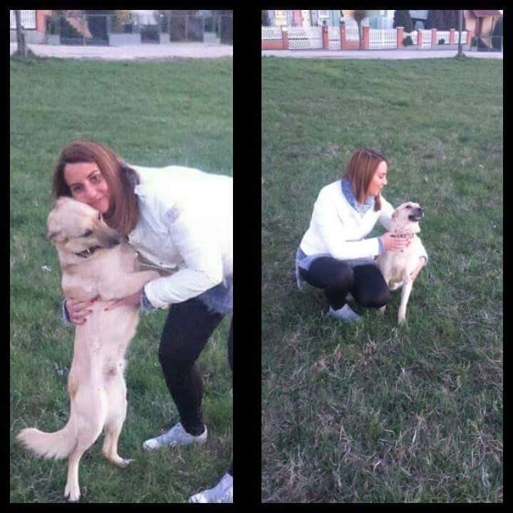 18199155_805852442901644_1064508600227813436_n