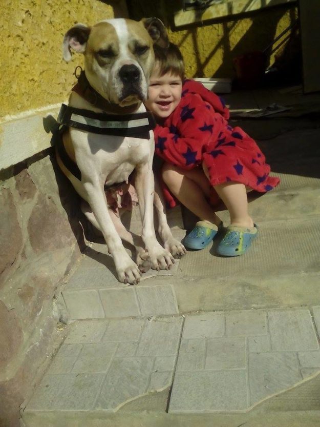 18268445_804161803070708_7513108331272711535_n