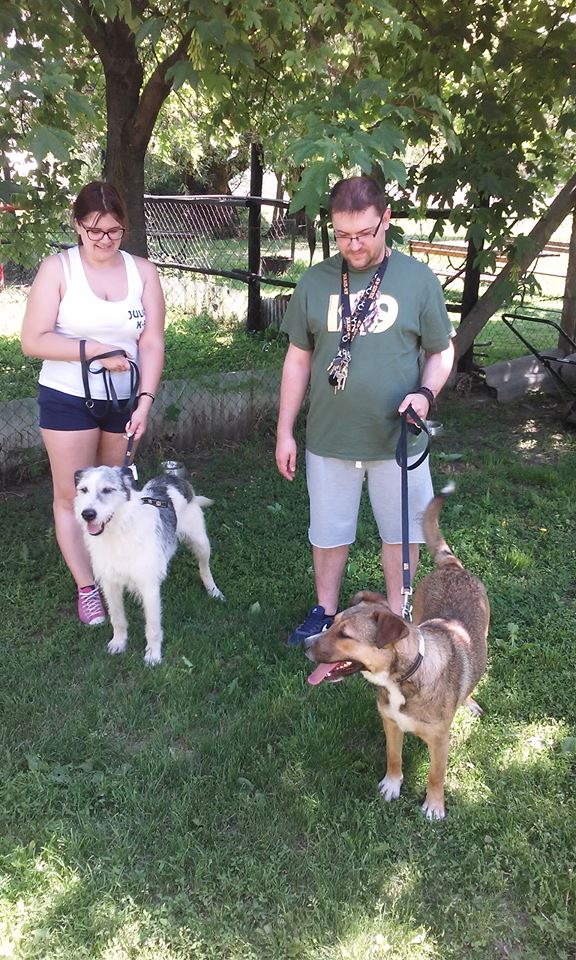 18601304_1576882335741346_1654546498_n