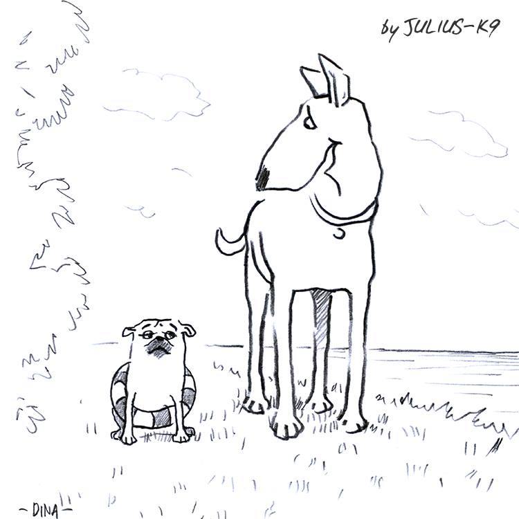 1069335_438003456298736_714502445_n