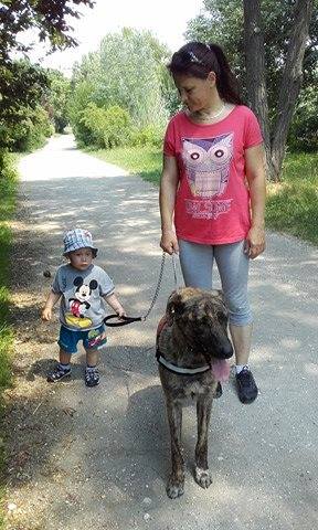 18922197_824047934415428_8686425992271655079_n