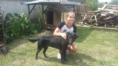 19642799_842788045874750_3946398476929342377_n