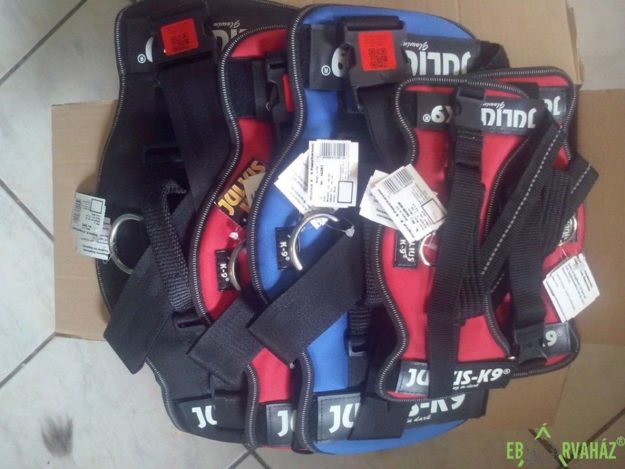 19665449_841620005991554_8493875705530561657_n