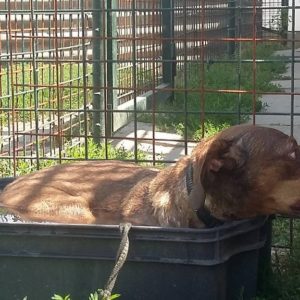 19829891_1506128496106461_1546258208_o