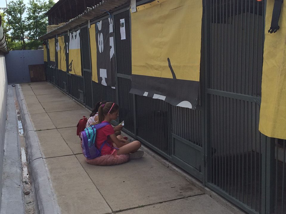 19884036_843644825789072_518368612272295708_n