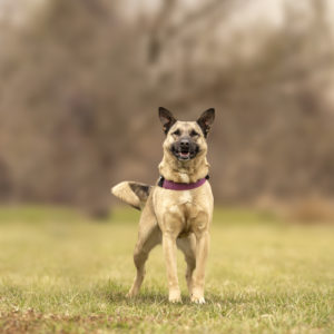 DSC04296_k DSC04296_k