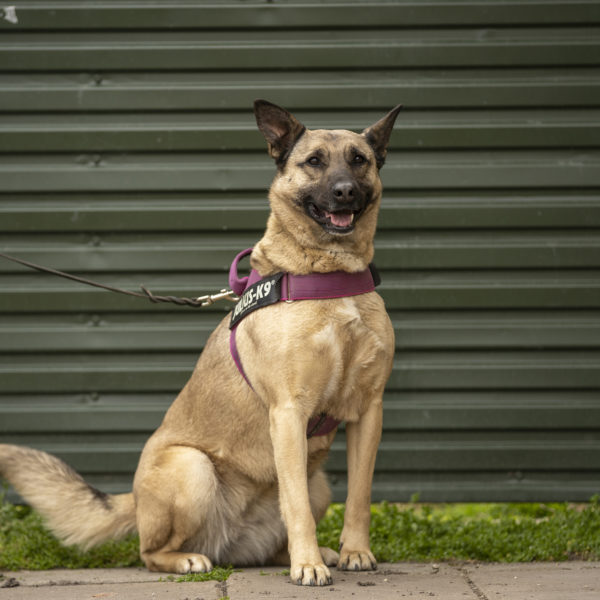 DSC04305_k DSC04305_k