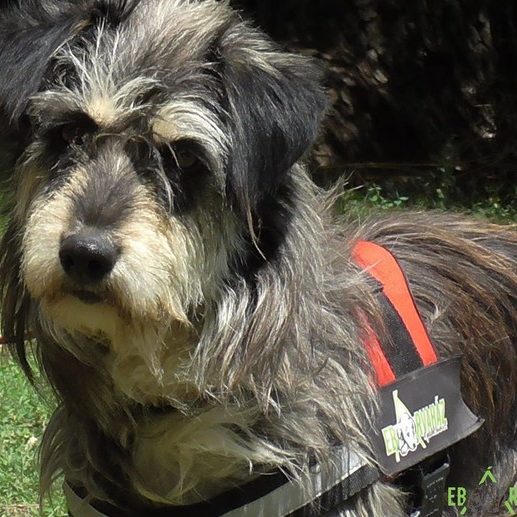 Izabella01 Izabella01