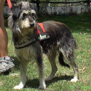 Izabella02 Izabella02