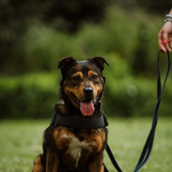 Wilson75_0 Wilson75_0