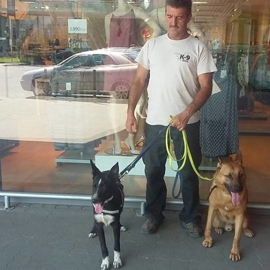 20476451_858060594347495_4253816977762140569_n