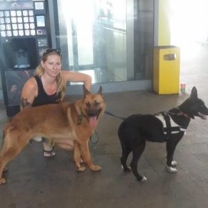 20479928_858060761014145_219948999257845127_n