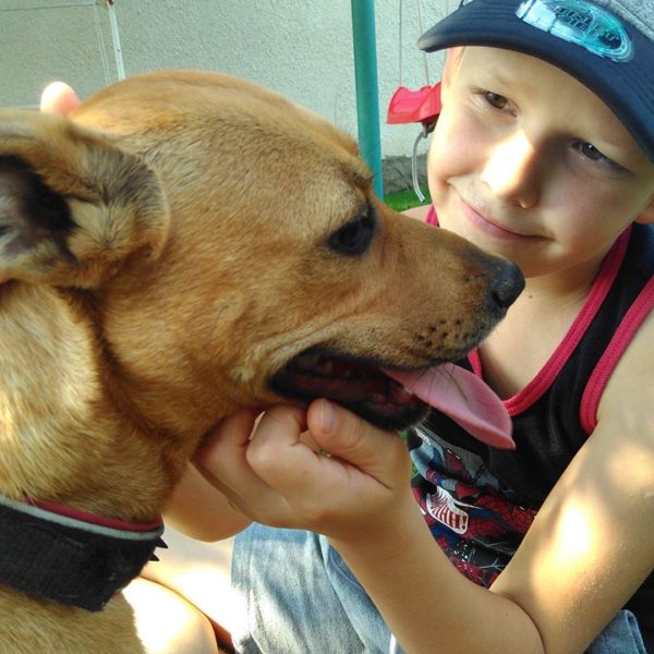 20637942_862689910551230_7508766314068797932_n