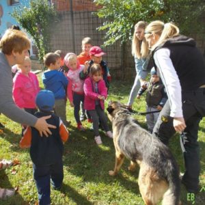 21463324_883088548511366_5213729703016427891_n