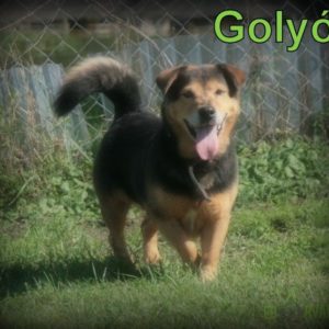 21686139_884596105027277_1878349760564697472_n