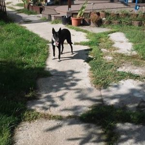 21766810_886998508120370_886400128021109199_n