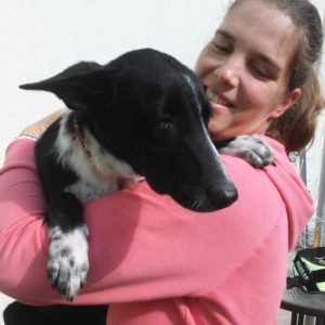 22045623_886998541453700_1086599578509586422_n